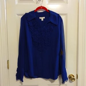 NEW Coldwater Creek Women's Royal Blue Shear Blouse Size 1X